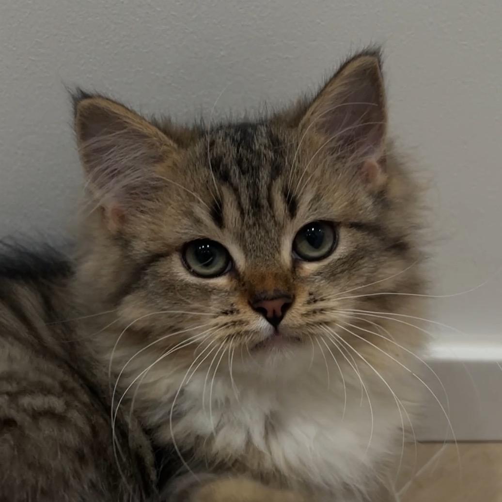 不发脾气只发财