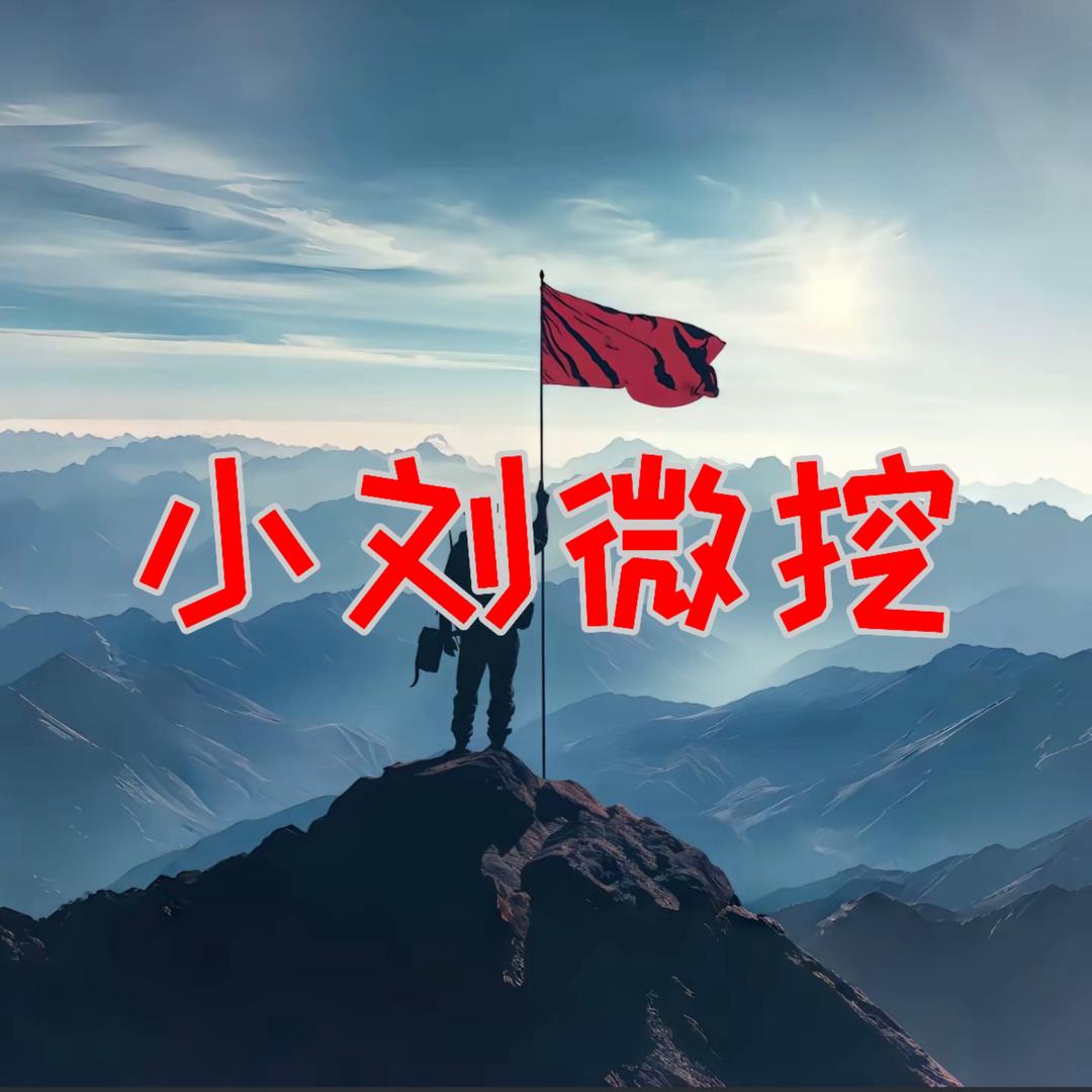 小刘微挖