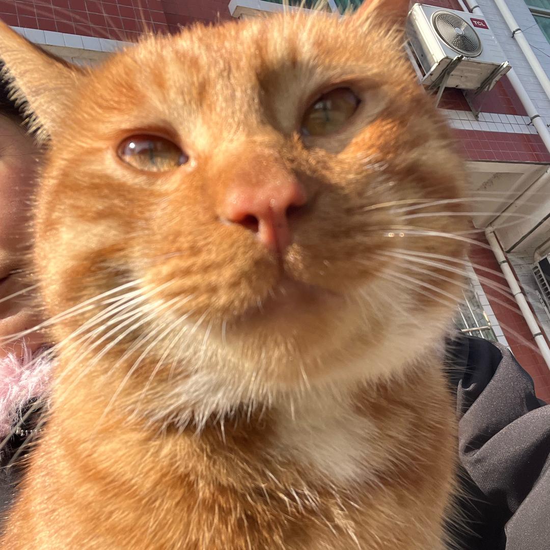 biuꉂ(˵¯̴͒ꇴ¯̴͒˵)౨越来越好