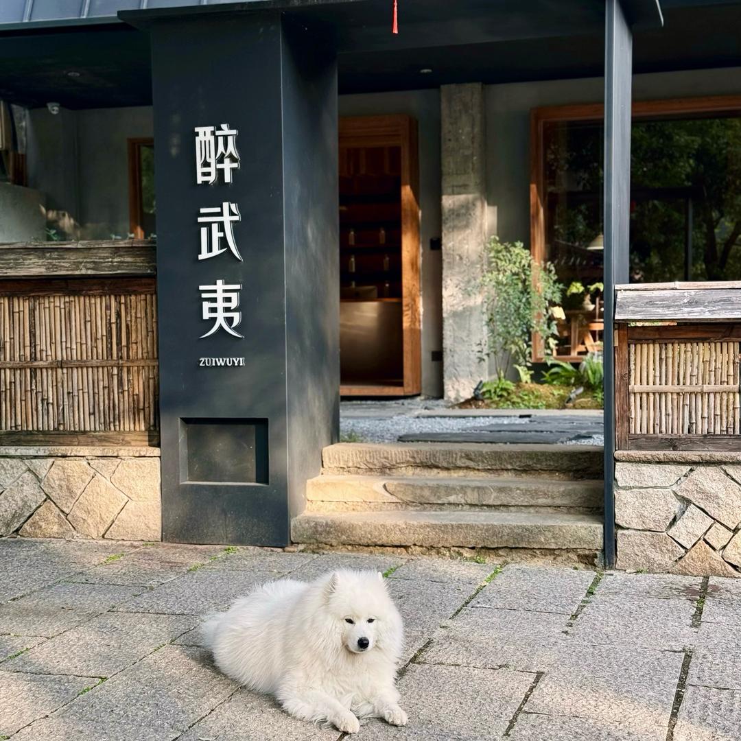 武夷山醉武夷民宿｜姜姜