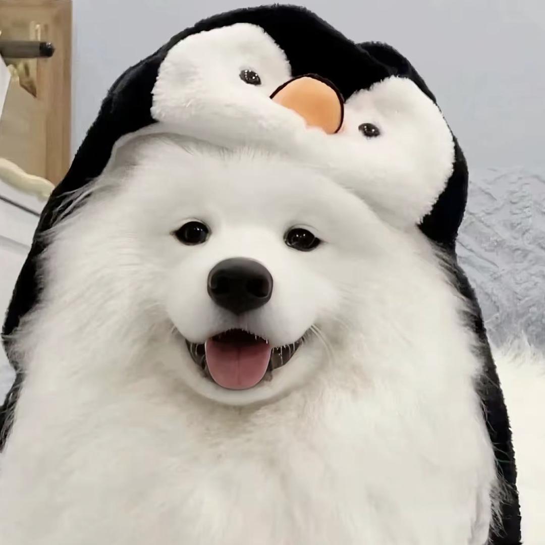 奇遇藏宝阁