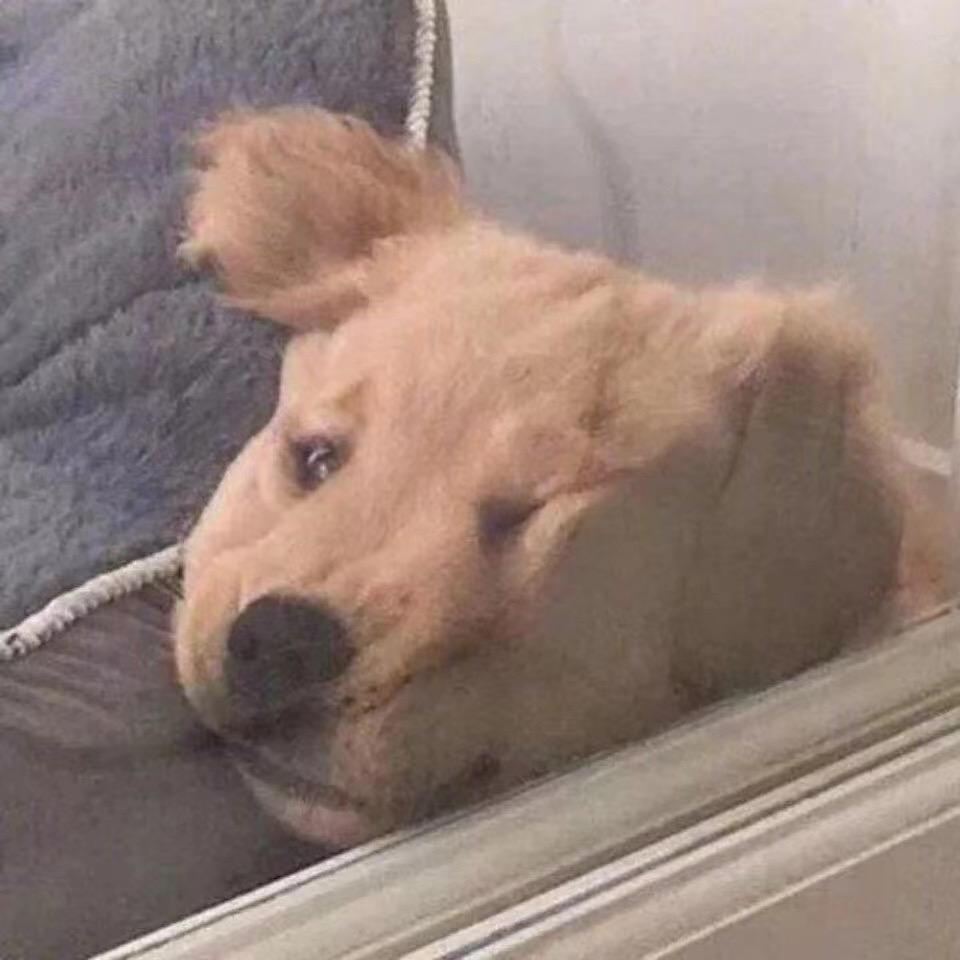 辉辉（电一千分野王）