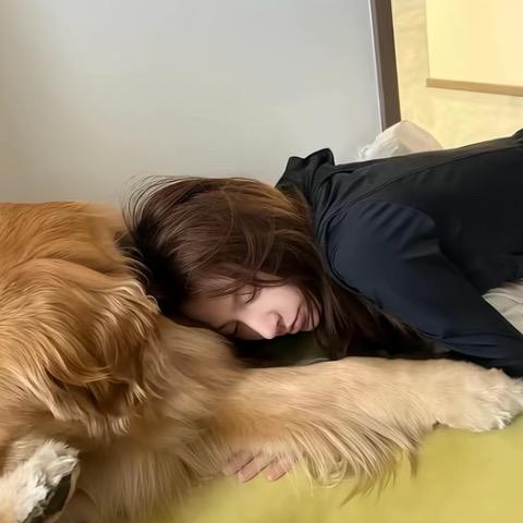 爱睡觉的懒羊羊大王