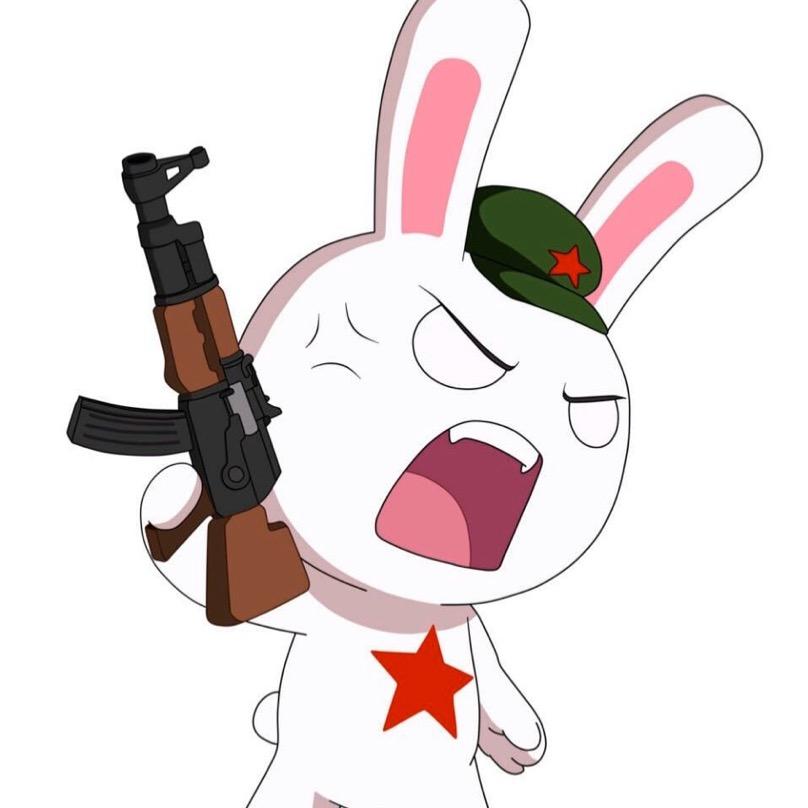 K.兔