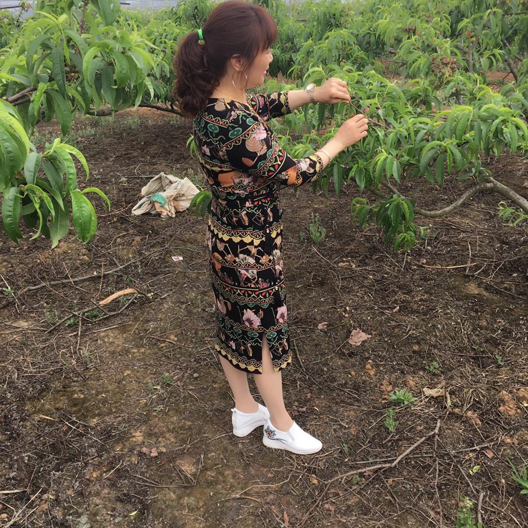 春天的丽丽（请忽连赞）