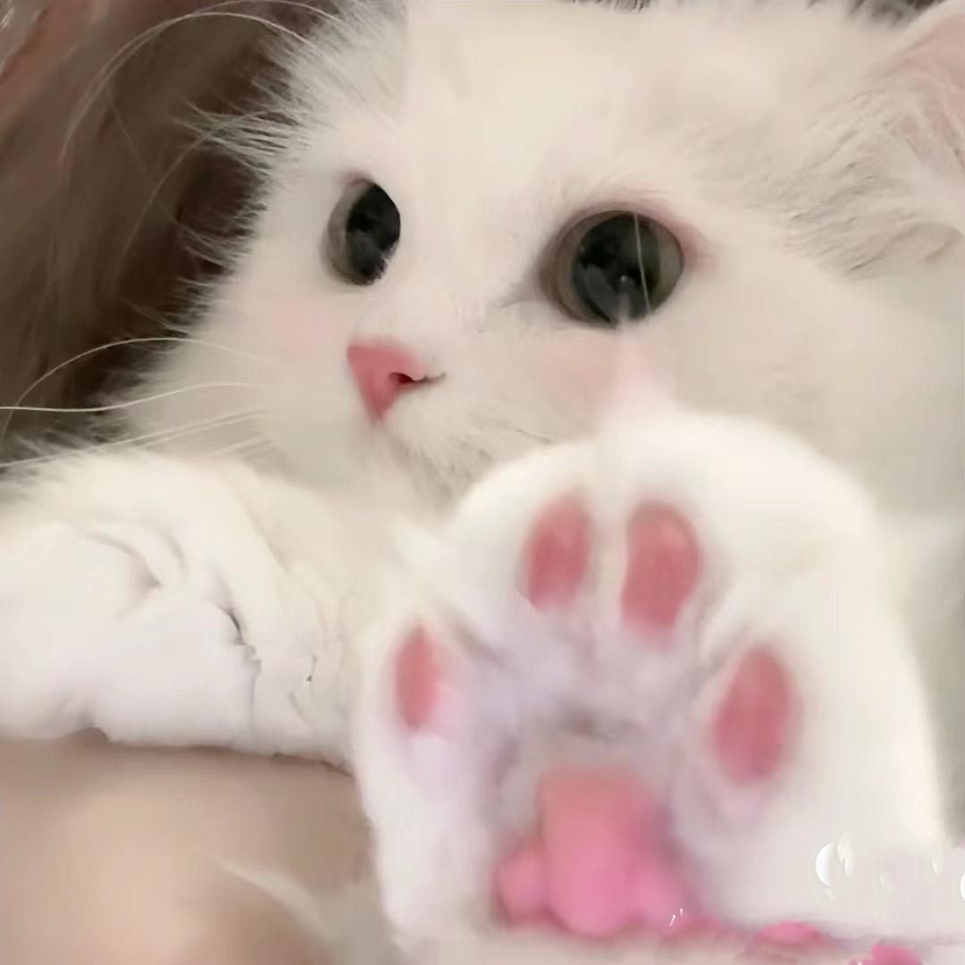 香辣鸡腿宝