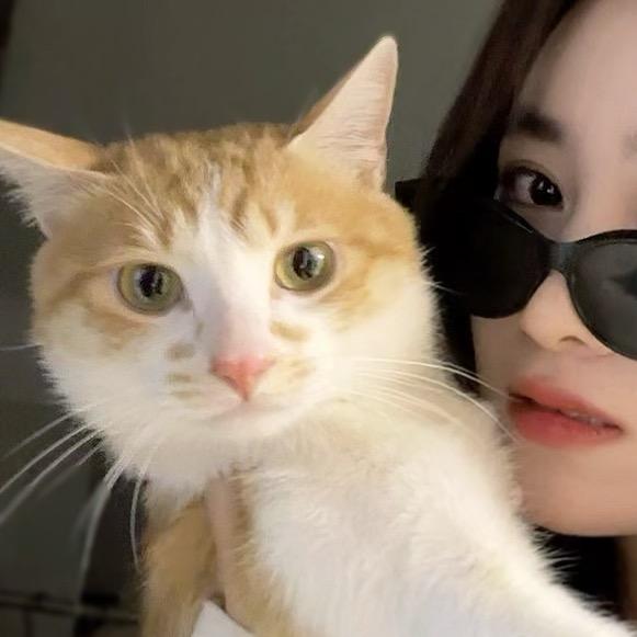 豹子妹妹