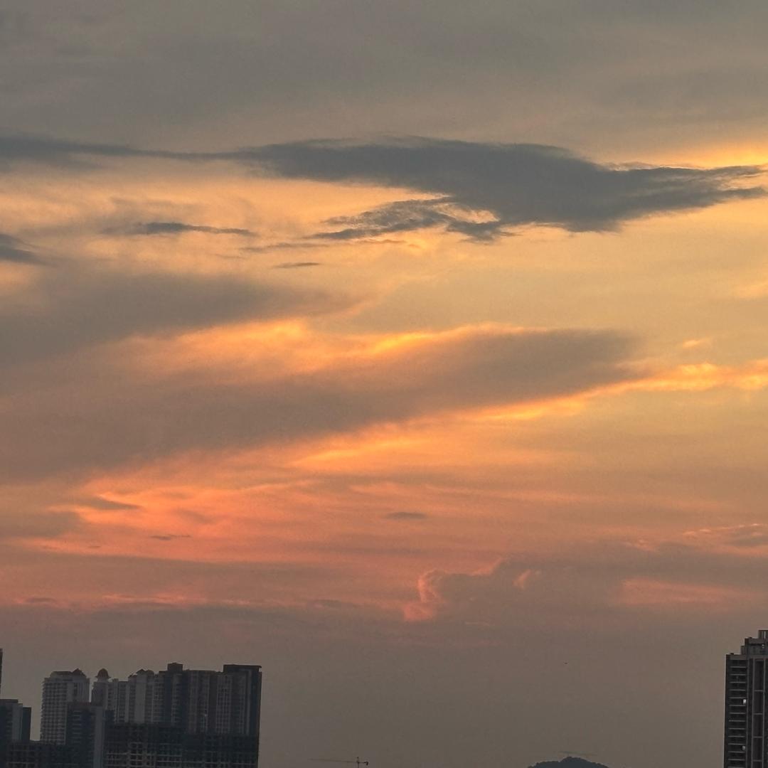 咖啡粉vv
