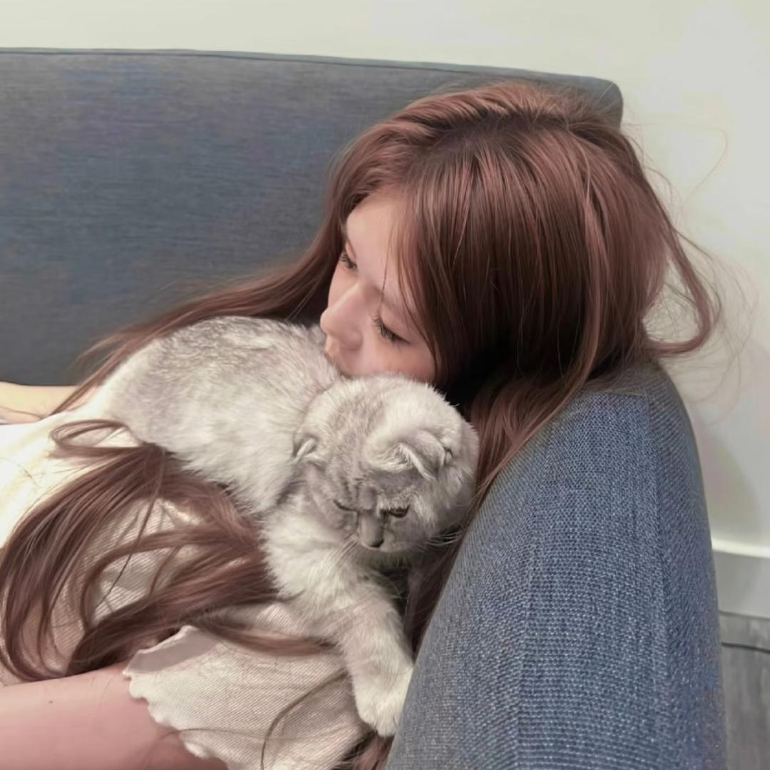 宇宙无敌超级霸王龙战士.