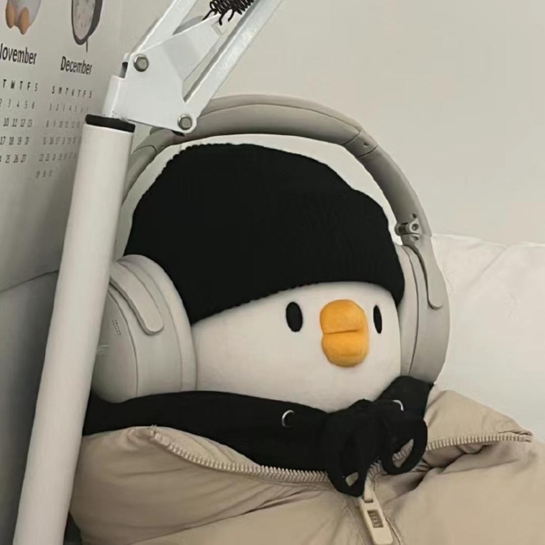 小Y