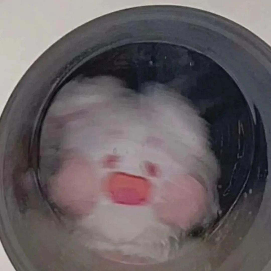 再晚睡是狗头像