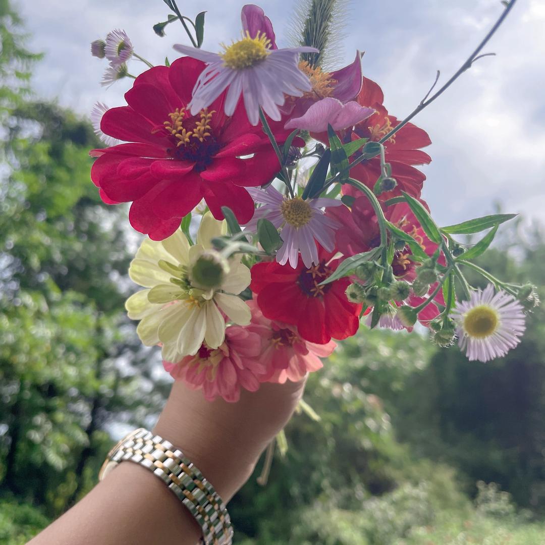 🍊🍊陈🎶橙果👀子