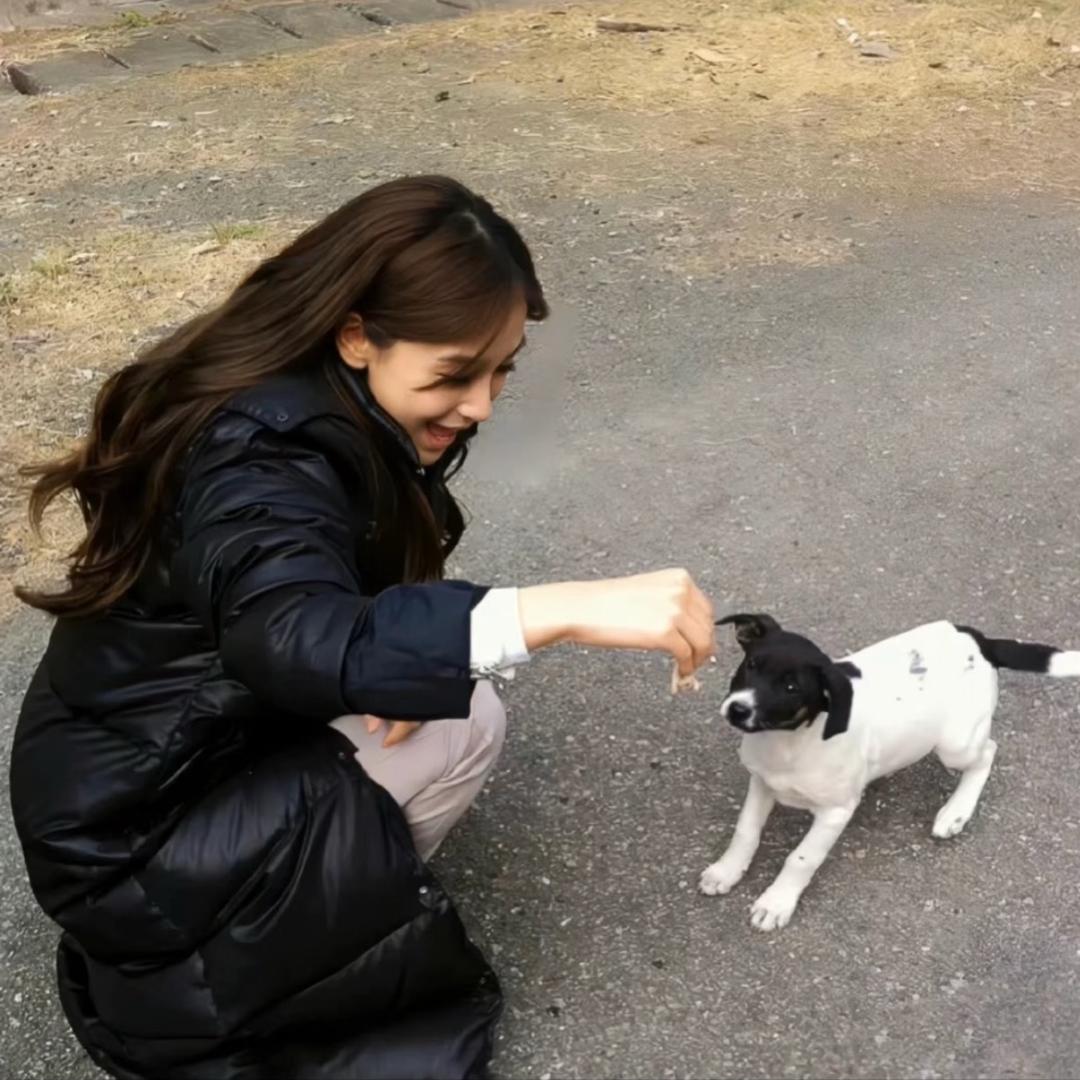 小用户lieeQ_