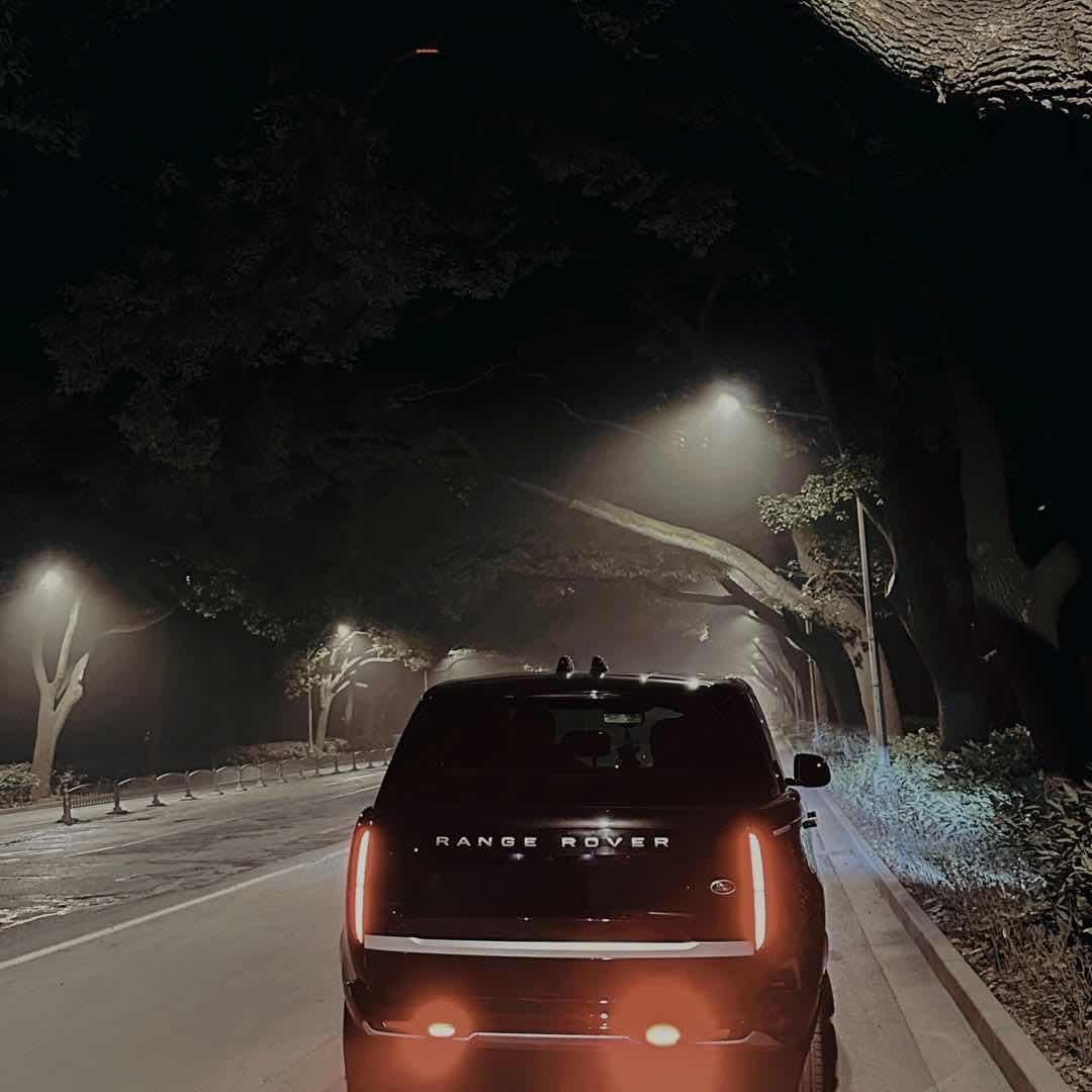 陈止清