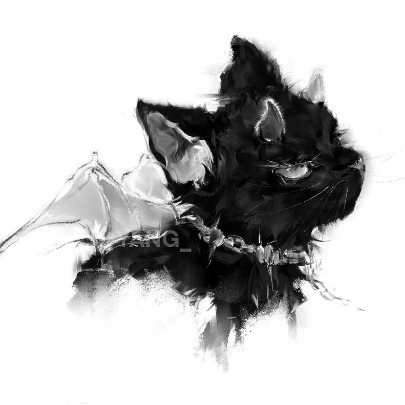 黑猫🐈‍⬛