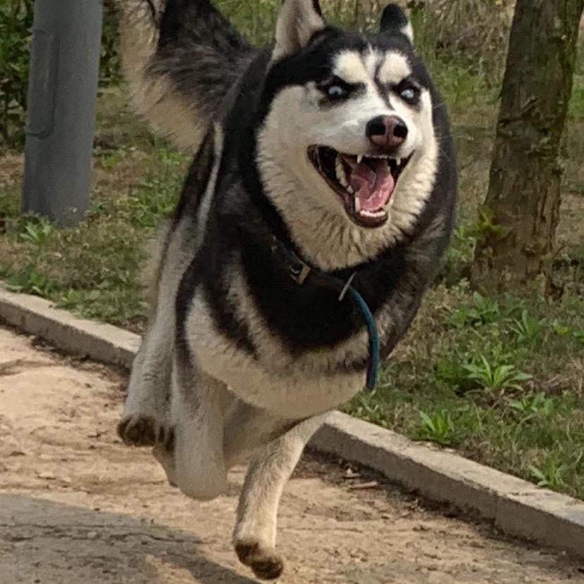 罗山味霸🇨🇳