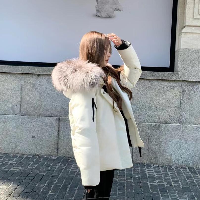 스타일