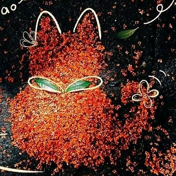 花卷是只喵🐱