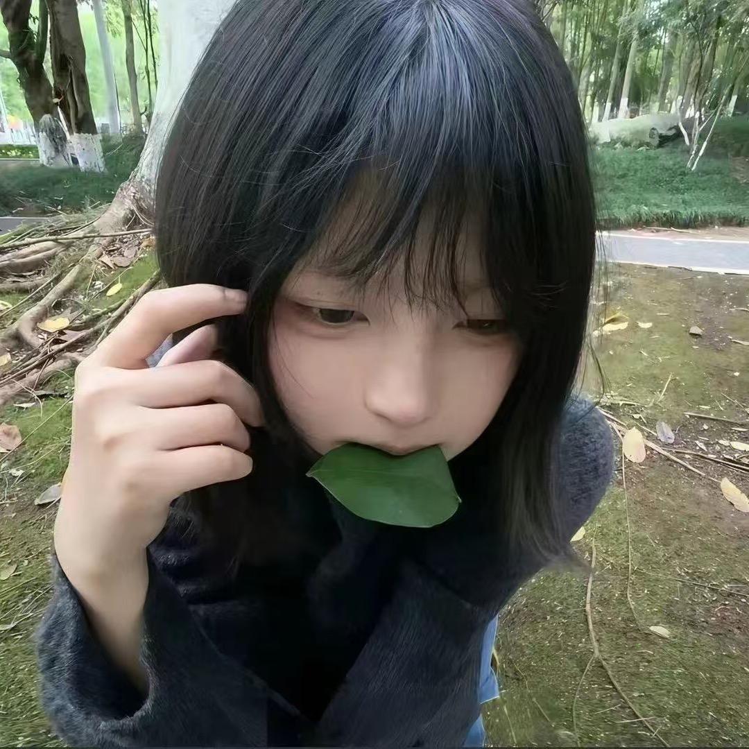 失忆.🍁