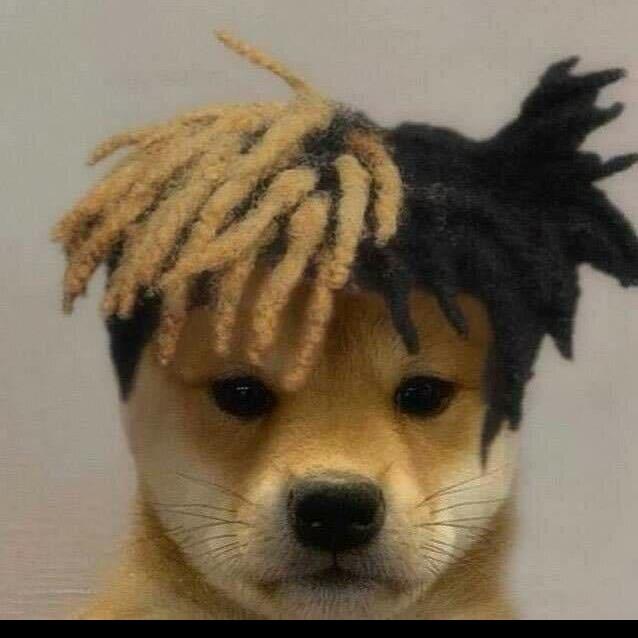 绣虎 33