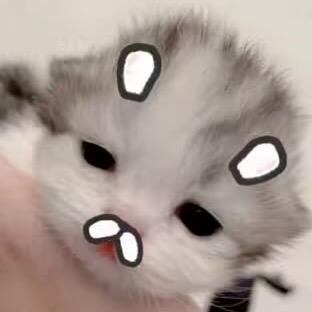 思绪