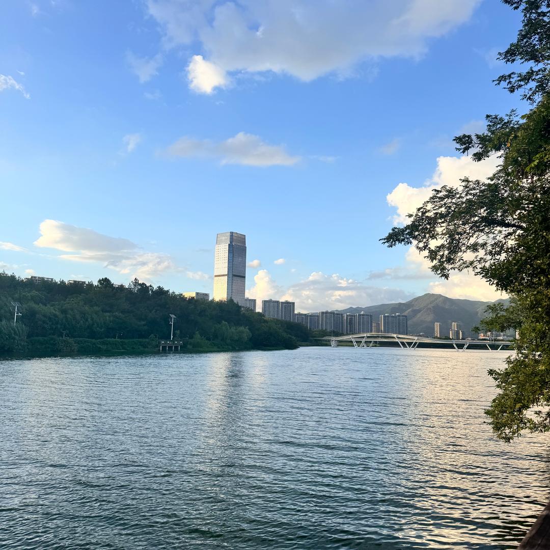 一朵彼岸花