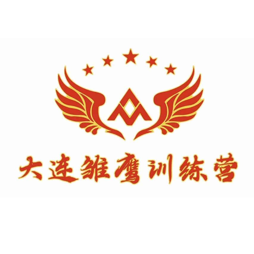 大连雏鹰夏令营