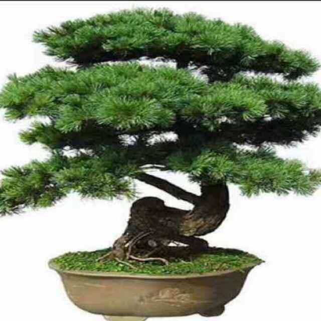 江南小镇