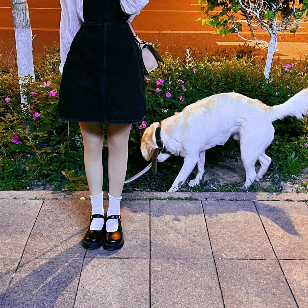 疆李儿