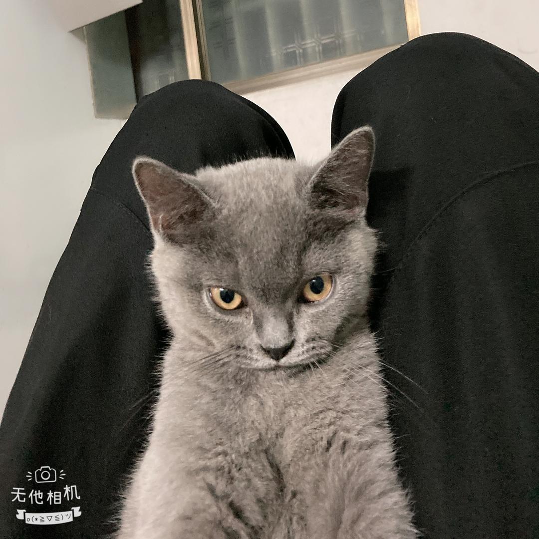 小温馨