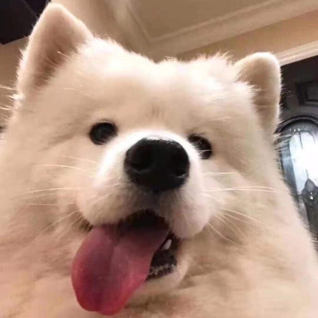 木lllll
