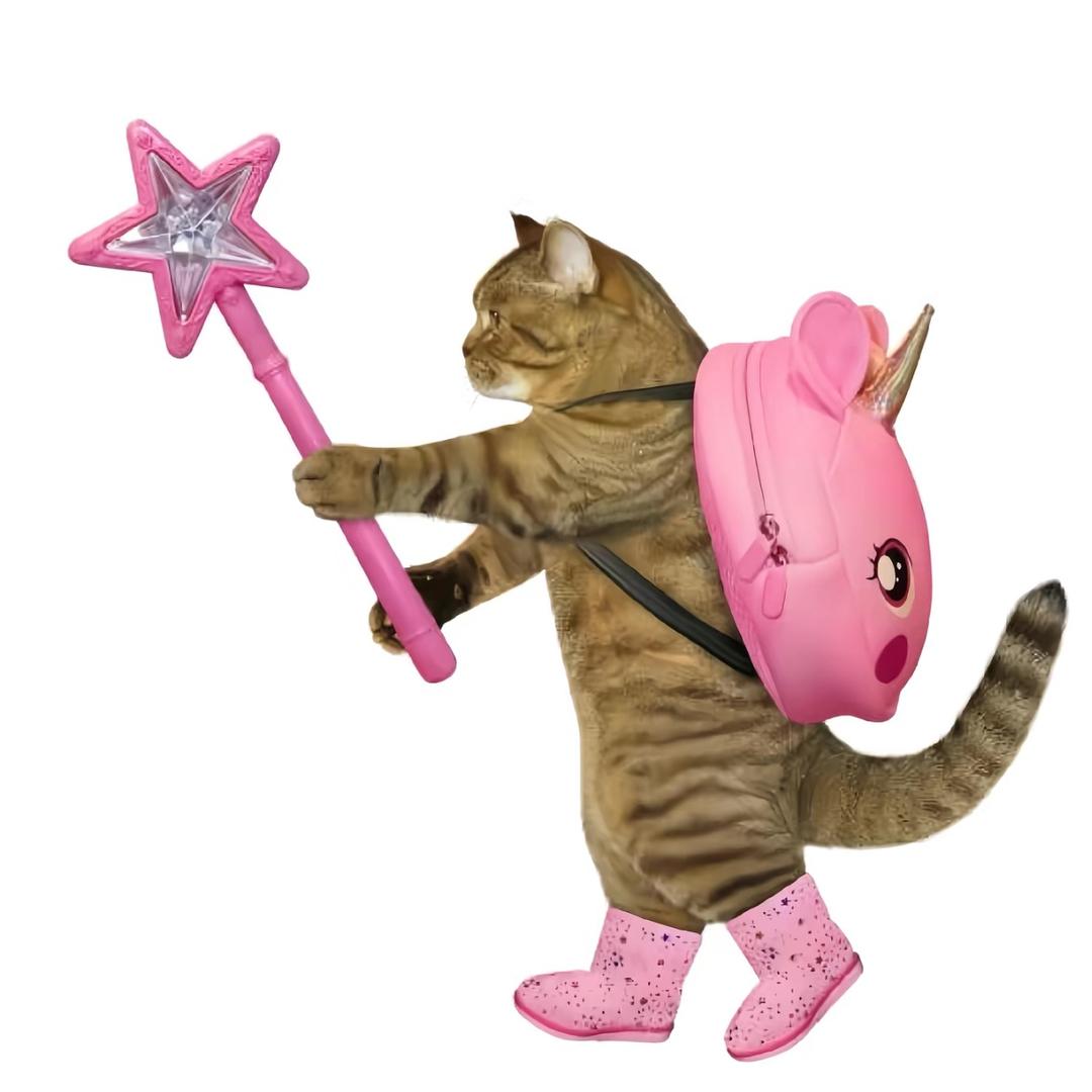 被猪拱的小白菜🥬