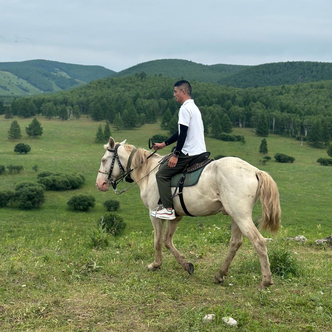 孛儿只斤🐎阿利🐺