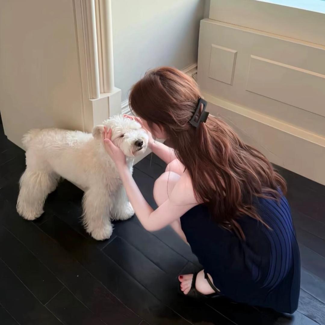 ㅤㅤㅤㅤㅤㅤ ㅤㅤㅤㅤ ㅤㅤㅤㅤㅤ