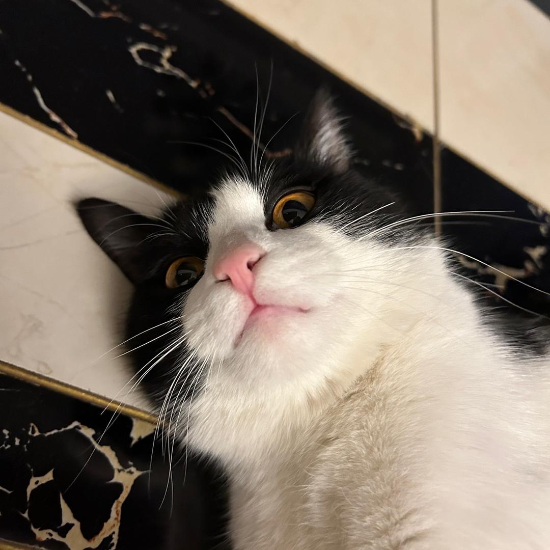 不想回消息