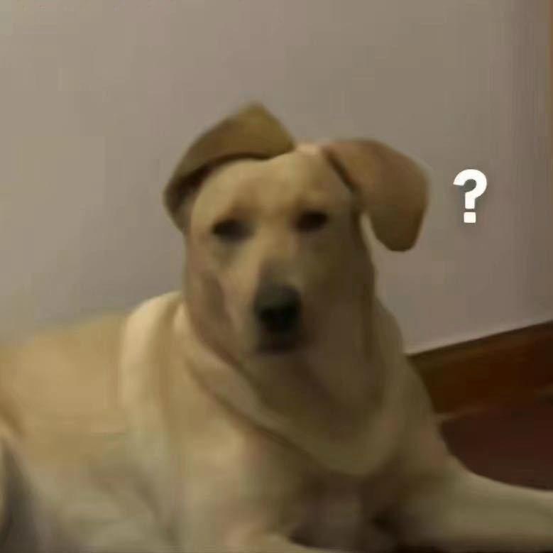 枝间春犹浅