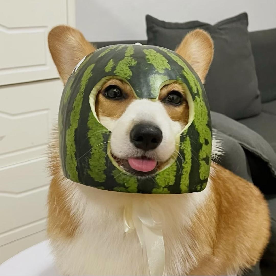 钟藝