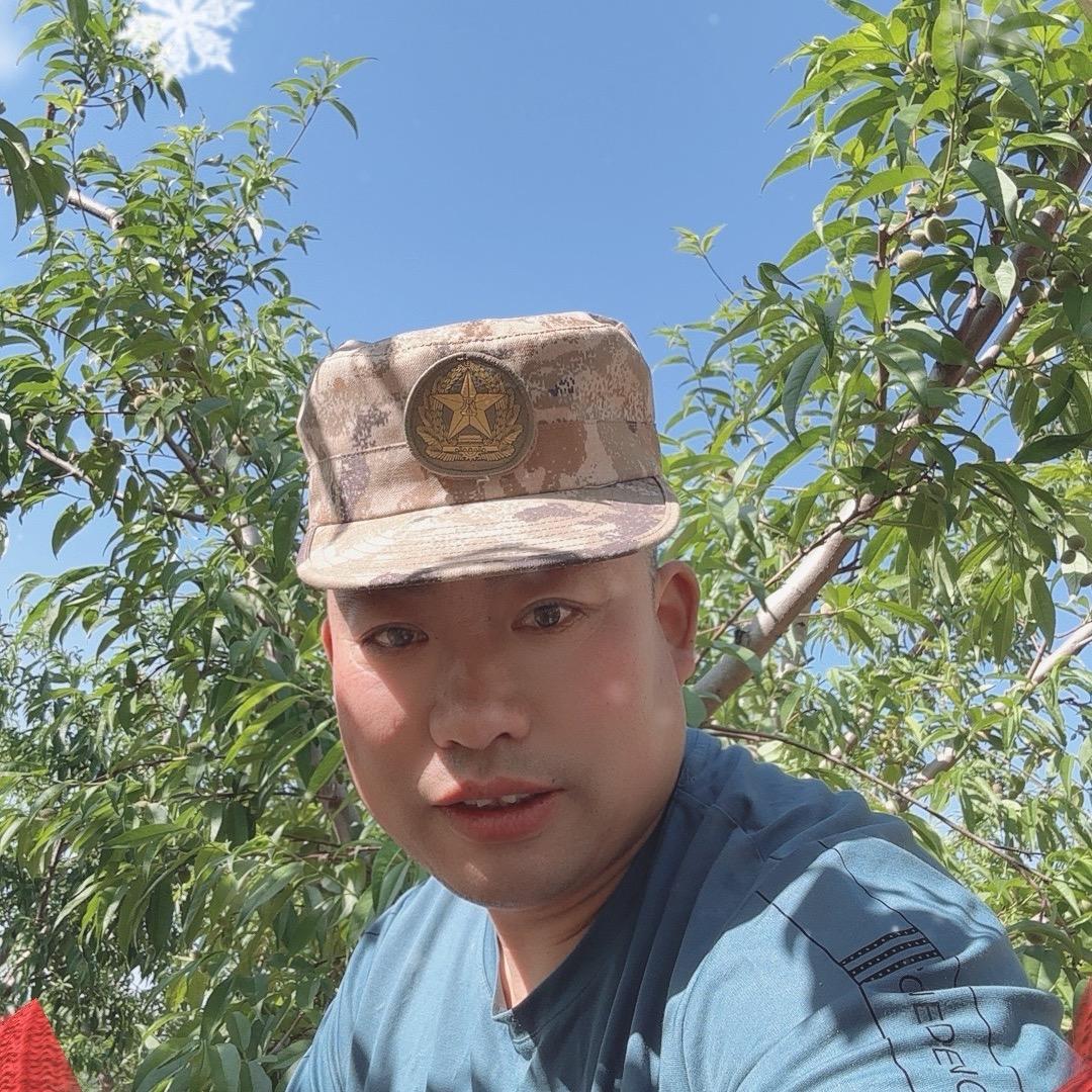 老马