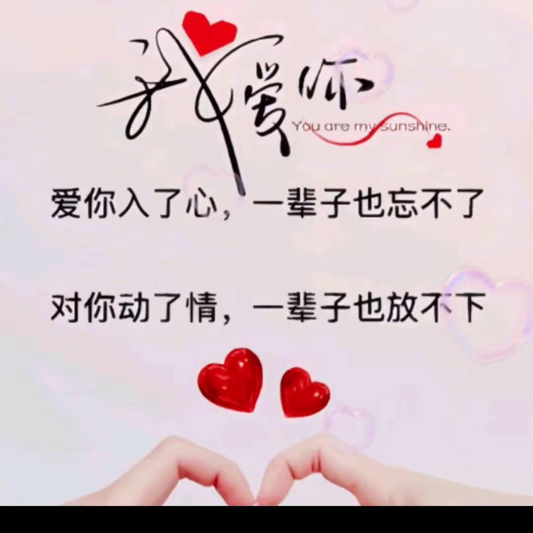 一言九鼎的一言