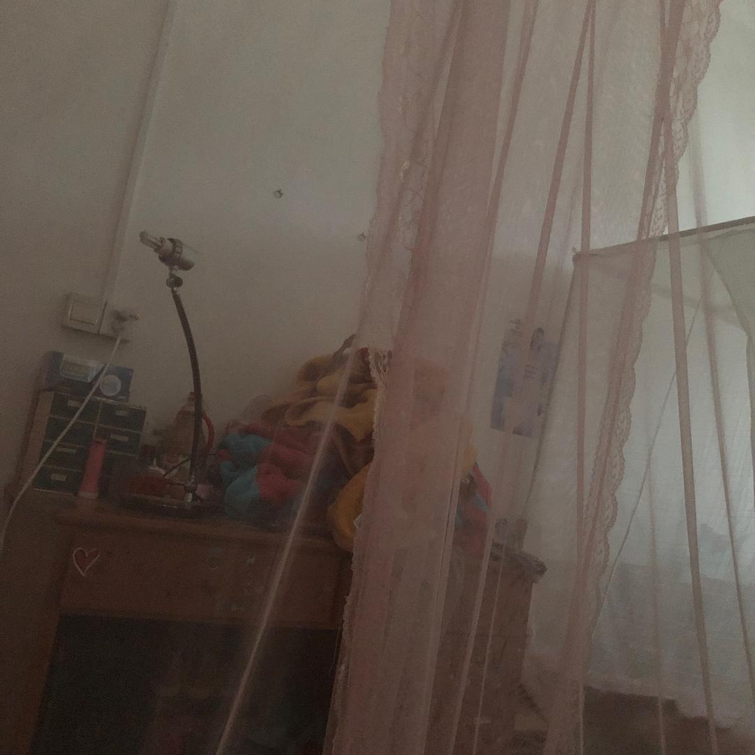 楊生