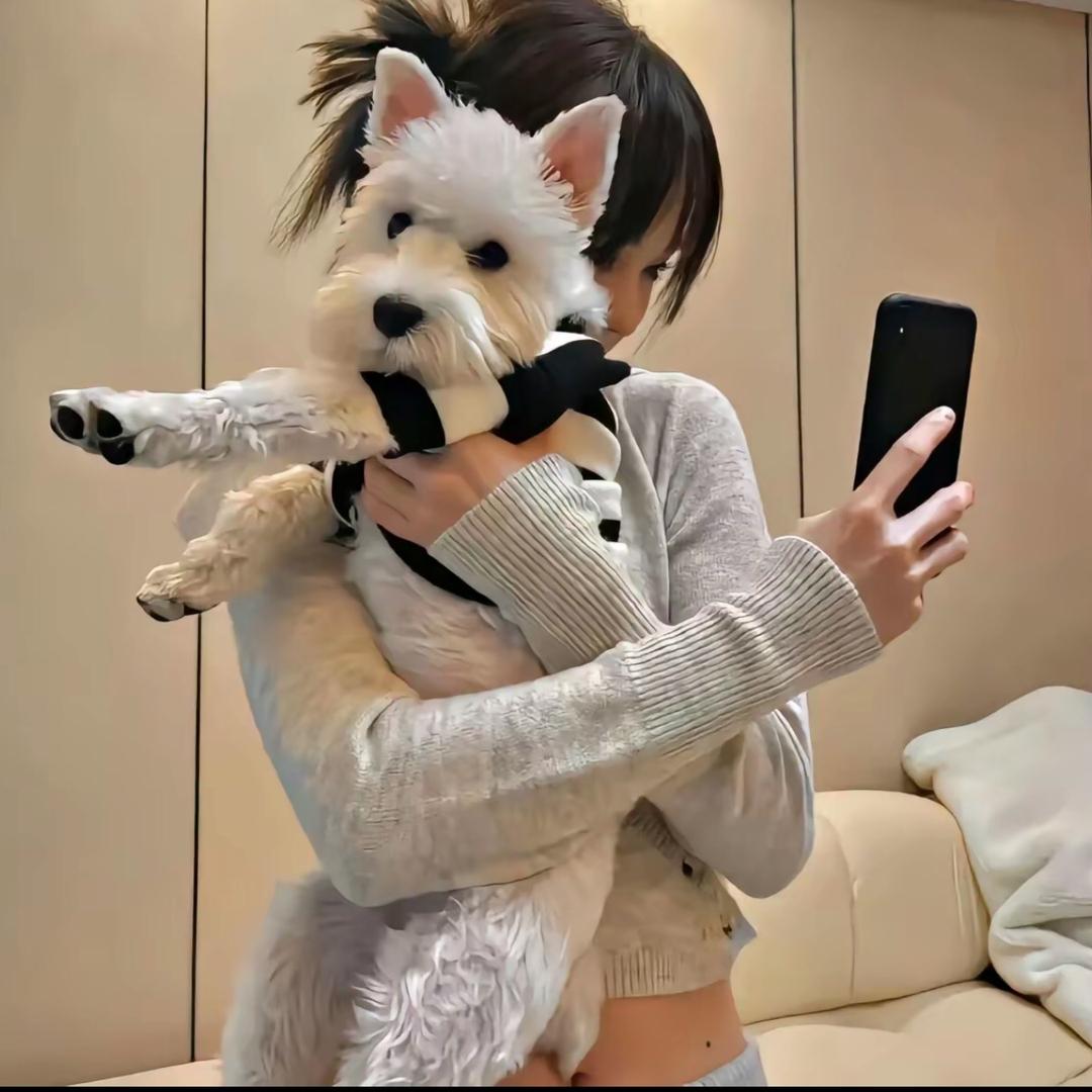 讨厌会呼吸的男人