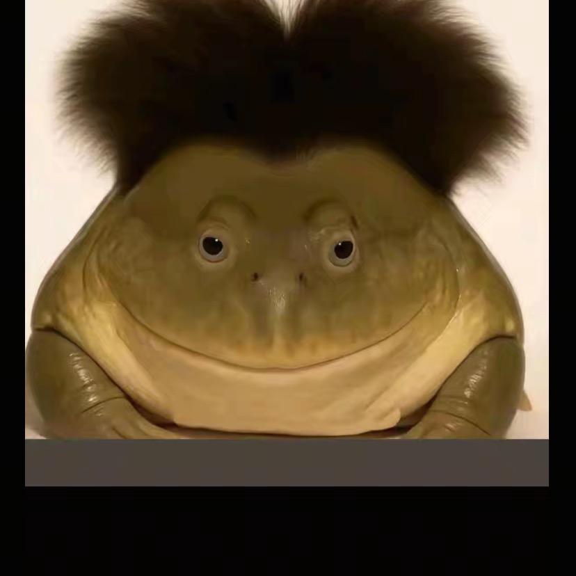 o泡