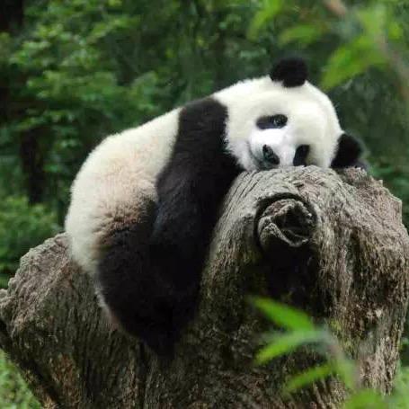 一路💰向钱💰