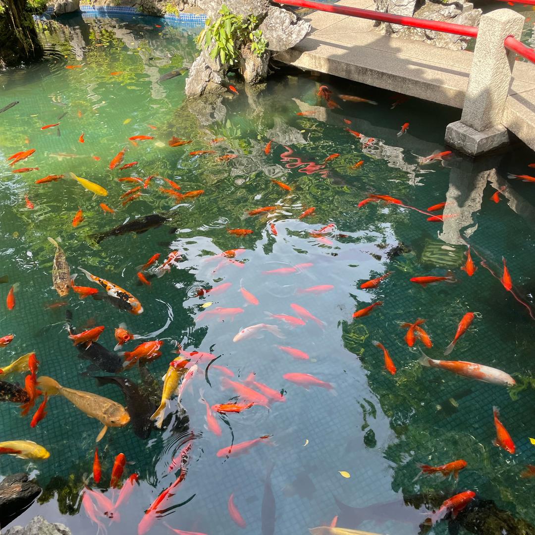 Linda庄