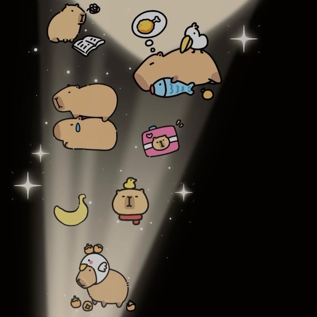 伴你8024