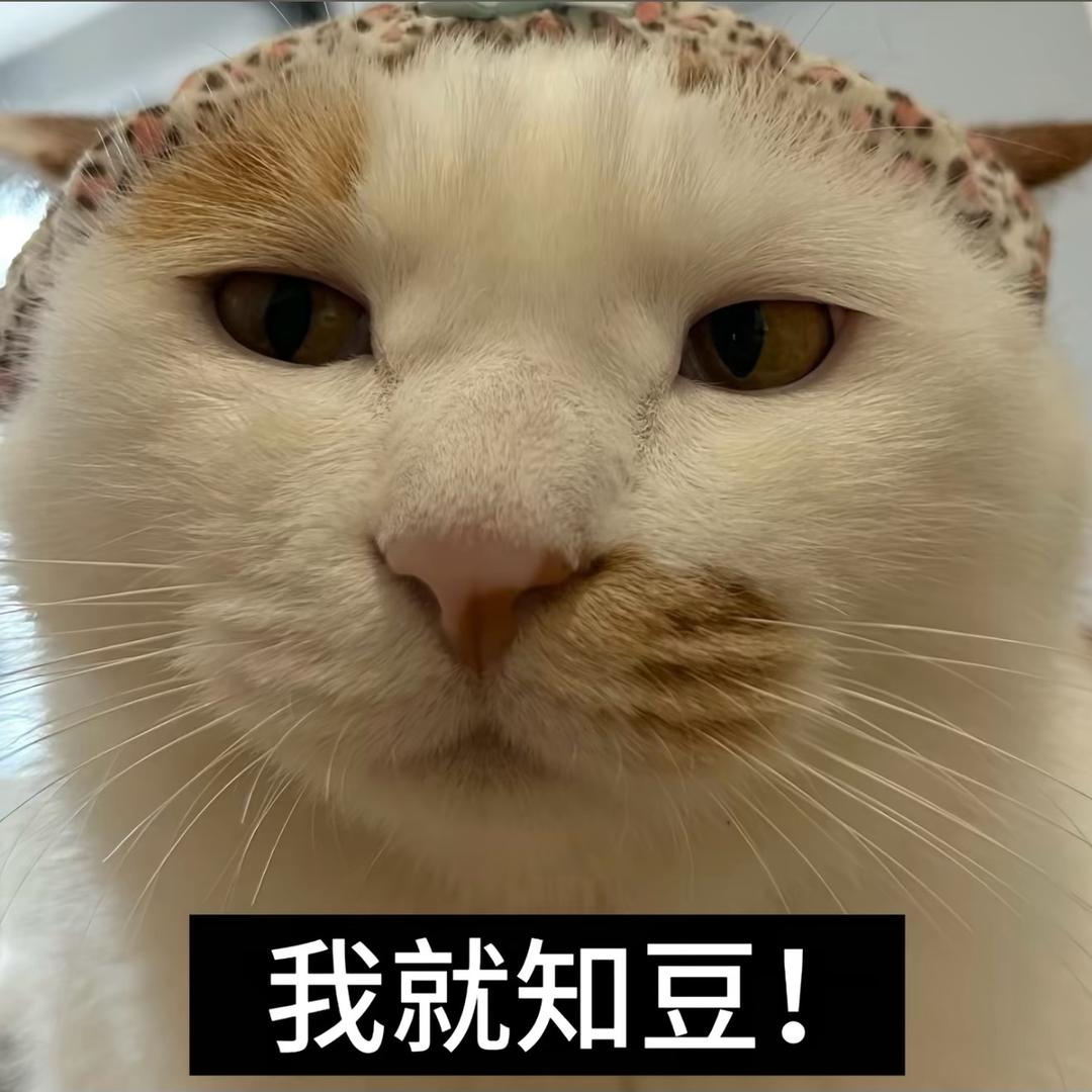 我就知豆！🖕