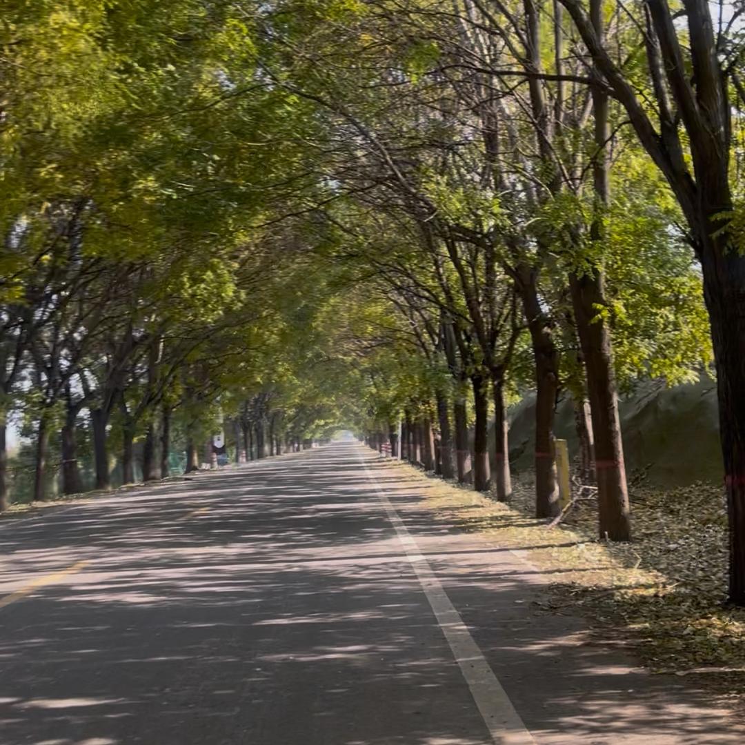 平凡的生活实录