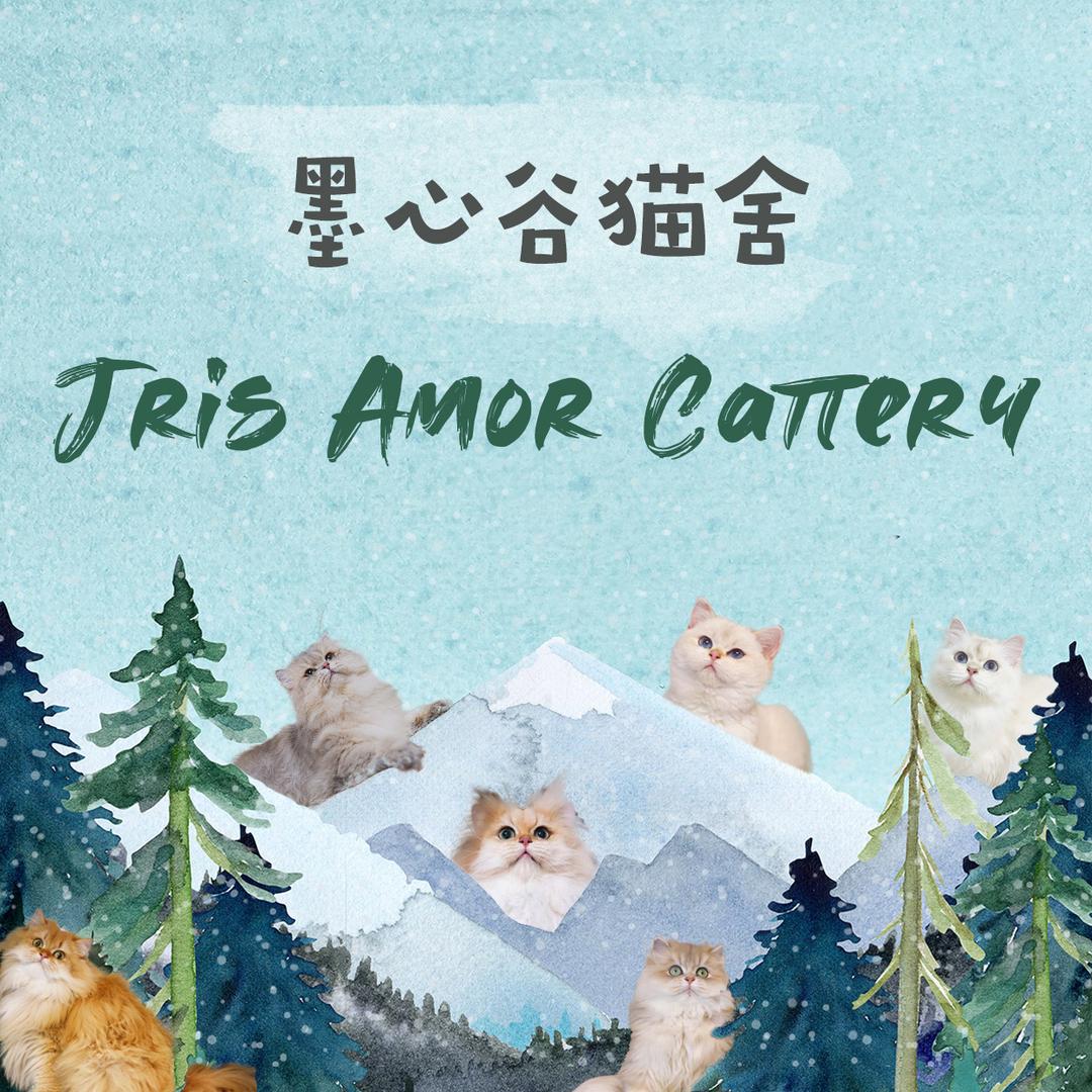 Jrisamor墨心谷的猫