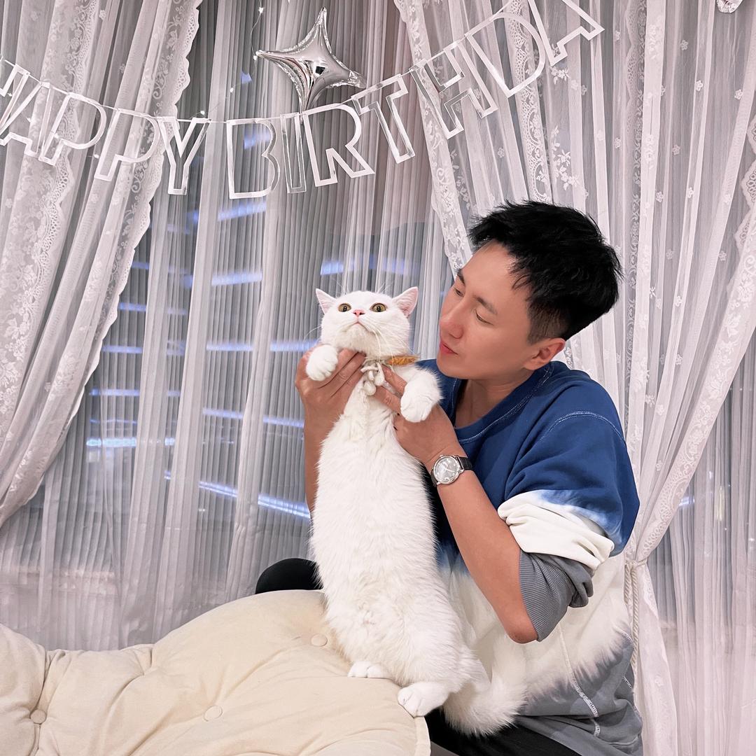 Seven dog（养宠搭子）