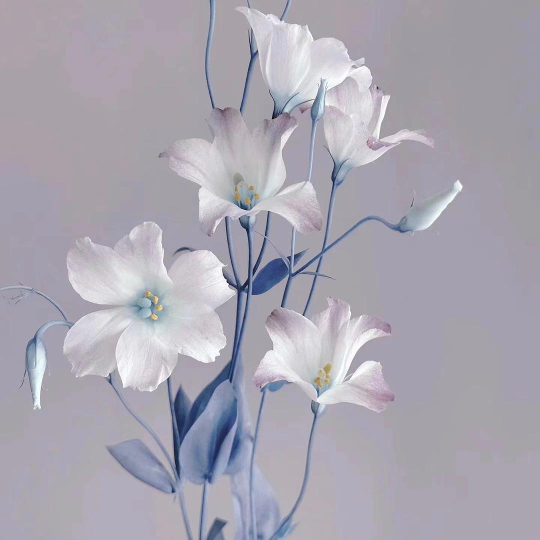 屿花舍